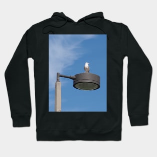 Bird's Eye View Hoodie